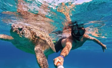 Nado con tortugas marinas en Máncora